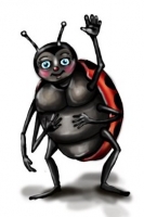 01 lady bug